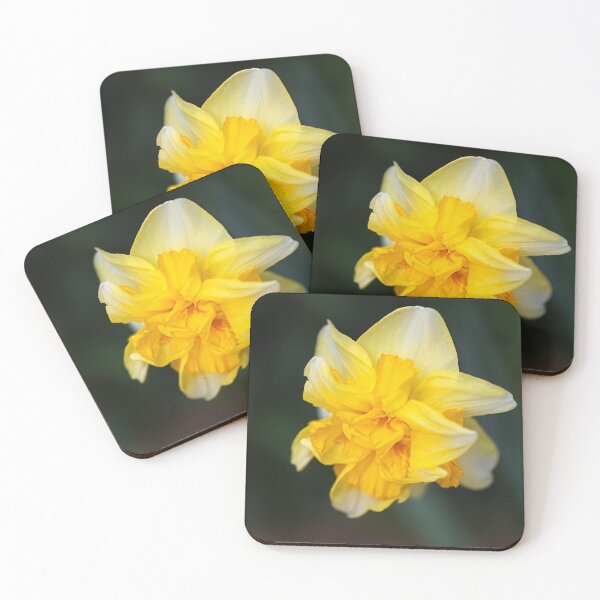 Item preview, Double Yellow Daffodil Spring designed and sold by Joy Watson - Natural Light Photography .