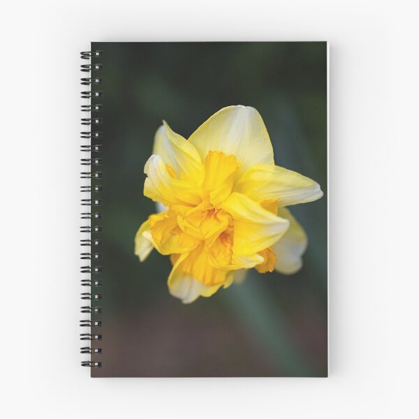 Item preview, Double Yellow Daffodil Spring designed and sold by Joy Watson - Natural Light Photography .