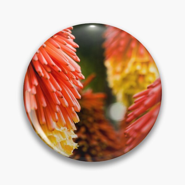 Item preview, Pyromania - Red Hot Poker Red & Yellow Summer Flower designed and sold by Photoluminous.