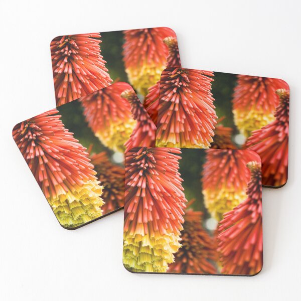 Item preview, Pyromania - Red Hot Poker Red & Yellow Summer Flower designed and sold by Photoluminous.