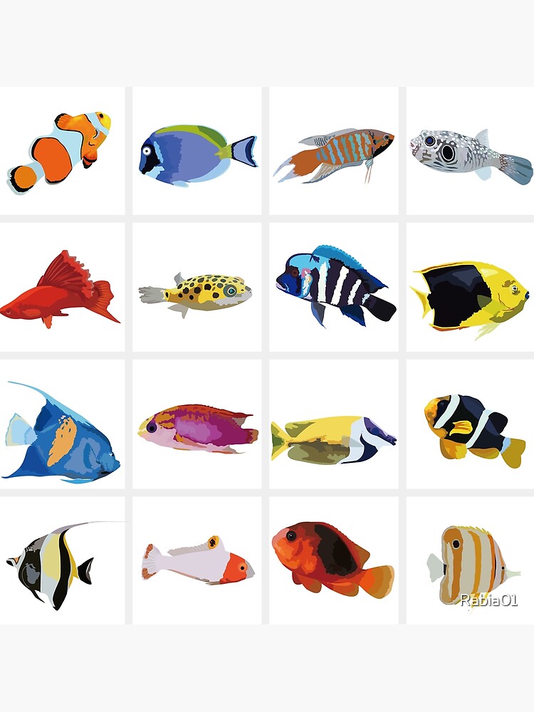 Different Types of Fish  Poster for Sale by Rabia01