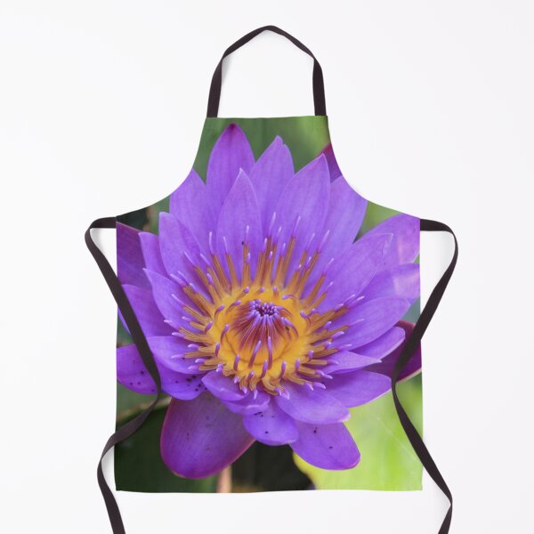 Artikelvorschau, Lilac Water Lily entworfen und verkauft von Rosdenphoto.