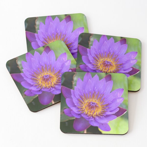 Item preview, Lilac Water Lily designed and sold by Rosdenphoto.