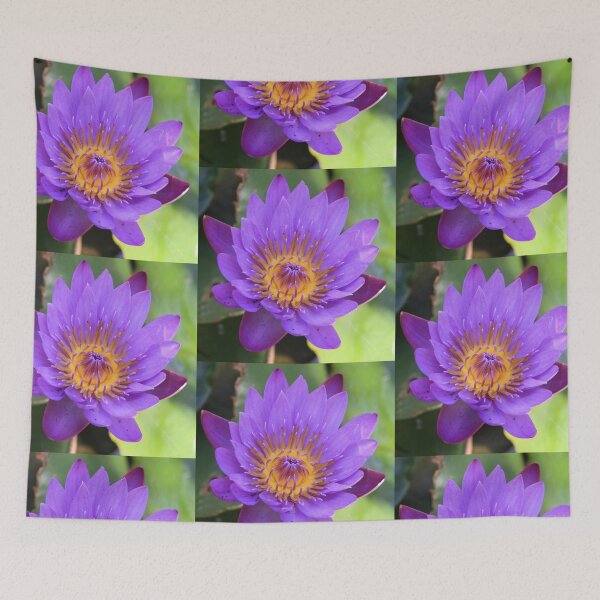 Aperçu de l'œuvre Lilac Water Lily créée et vendue par Rosdenphoto.