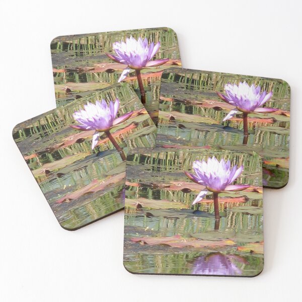 Item preview, Lilac Water Lily - Tropical Bird Park, Kalbarri, WA designed and sold by Rosdenphoto.