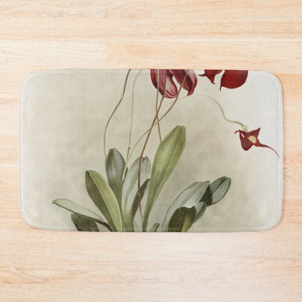 Item preview, Reichenbachia: Orchids Illustrated and Described designed and sold by EsotericBotanic.