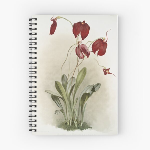 Item preview, Reichenbachia: Orchids Illustrated and Described designed and sold by EsotericBotanic.