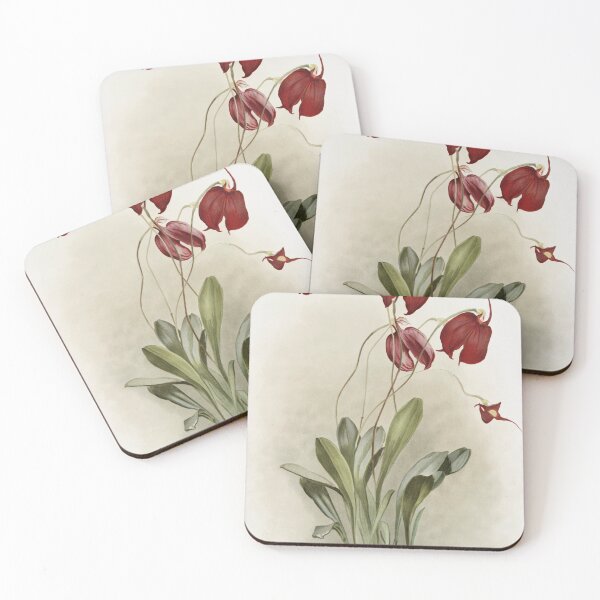 Item preview, Reichenbachia: Orchids Illustrated and Described designed and sold by EsotericBotanic.