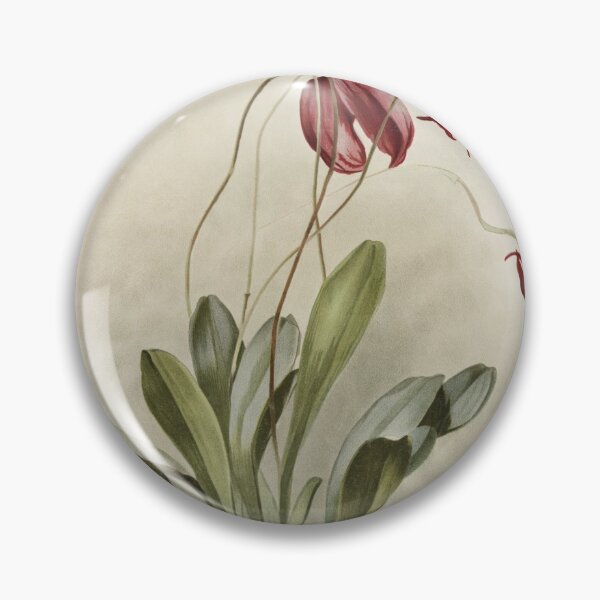 Item preview, Reichenbachia: Orchids Illustrated and Described designed and sold by EsotericBotanic.