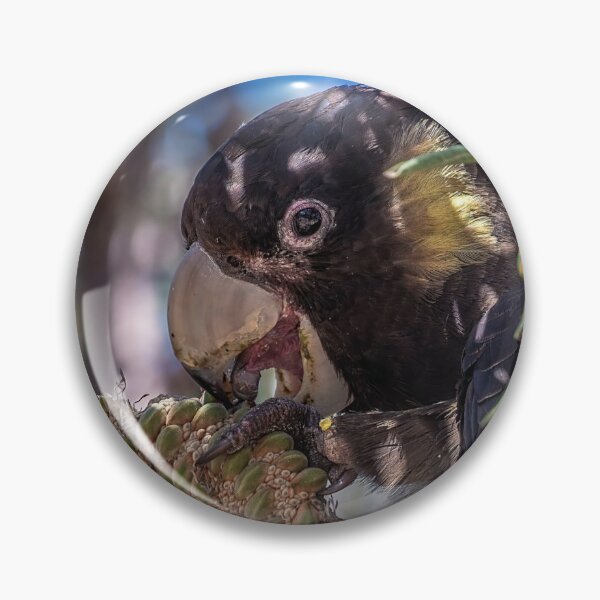 Item preview, Glossy Black Cockatoo designed and sold by TGrowden.