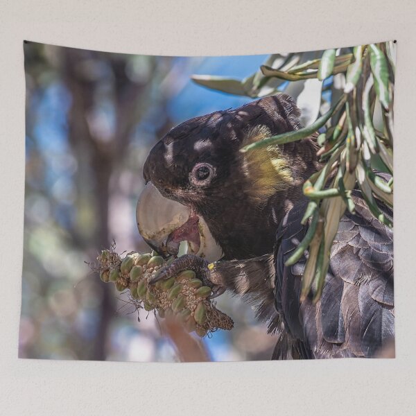 Item preview, Glossy Black Cockatoo designed and sold by TGrowden.