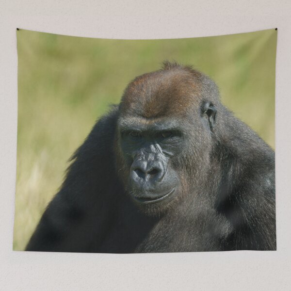 Item preview, Gorilla Lope Watchful Eyes designed and sold by rawshutterbug.