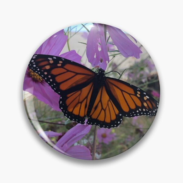 Item preview, Newly eclosed monarch butterfly designed and sold by ColibriDesigns.