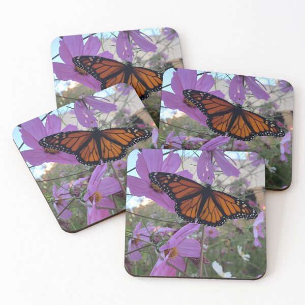 Item preview, Newly eclosed monarch butterfly designed and sold by ColibriDesigns.