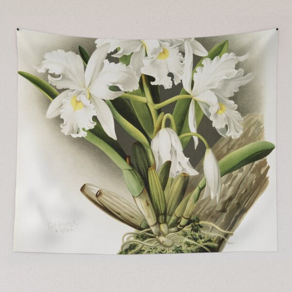 Item preview, Reichenbachia: Orchids Illustrated and Described designed and sold by EsotericBotanic.