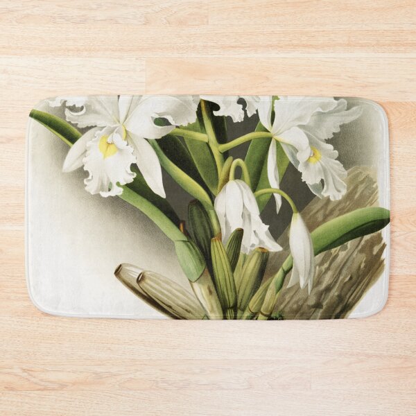 Item preview, Reichenbachia: Orchids Illustrated and Described designed and sold by EsotericBotanic.