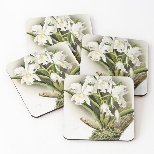Item preview, Reichenbachia: Orchids Illustrated and Described designed and sold by EsotericBotanic.