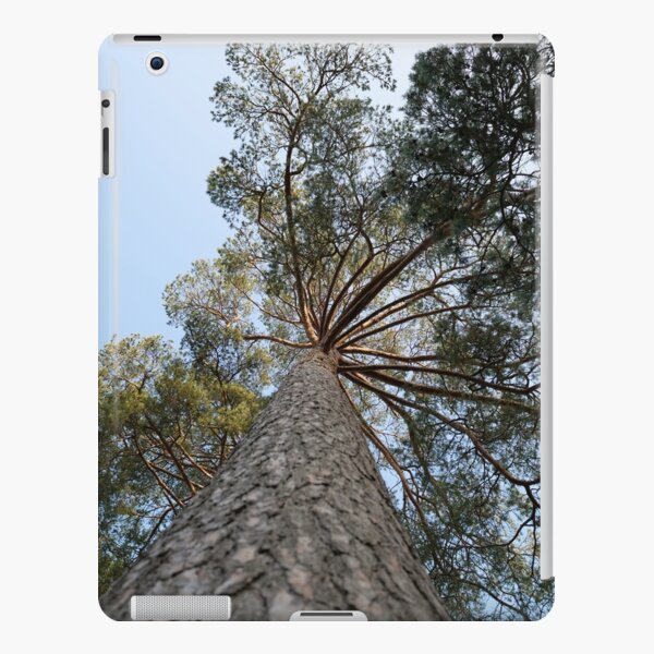 Up view of tree and sunlight effect iPad Snap Case