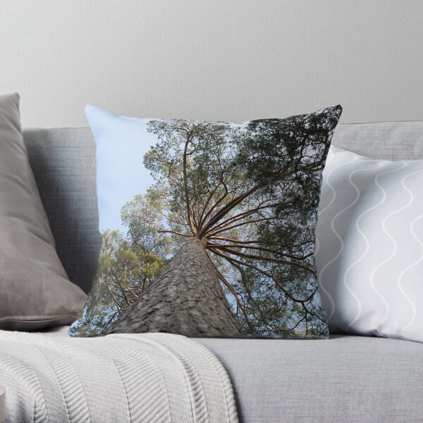 Up view of tree and sunlight effect Throw Pillow