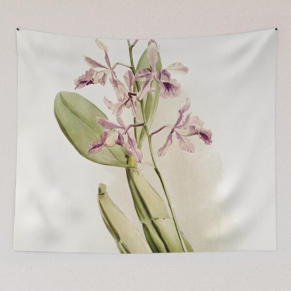 Item preview, Reichenbachia: Orchids Illustrated and Described designed and sold by EsotericBotanic.