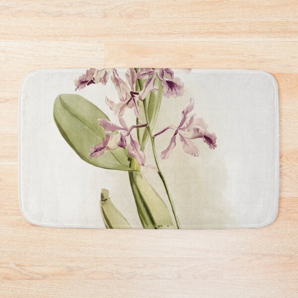 Item preview, Reichenbachia: Orchids Illustrated and Described designed and sold by EsotericBotanic.