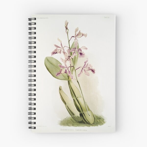 Item preview, Reichenbachia: Orchids Illustrated and Described designed and sold by EsotericBotanic.