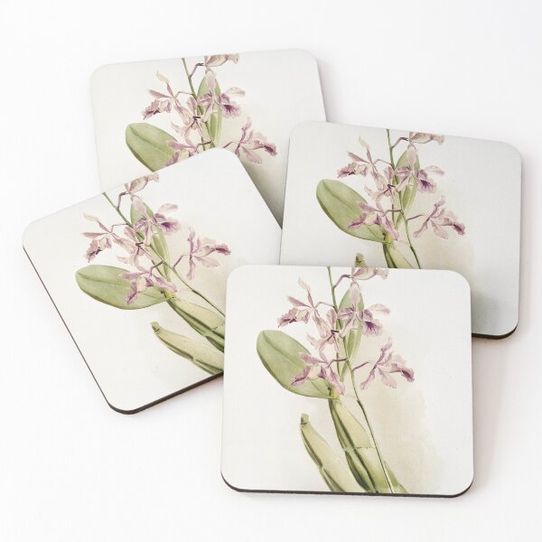Item preview, Reichenbachia: Orchids Illustrated and Described designed and sold by EsotericBotanic.