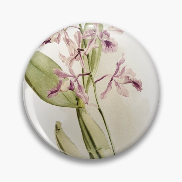 Item preview, Reichenbachia: Orchids Illustrated and Described designed and sold by EsotericBotanic.