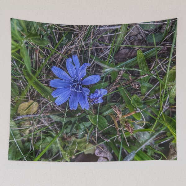 Item preview, Simply Blue designed and sold by giftoftradition.