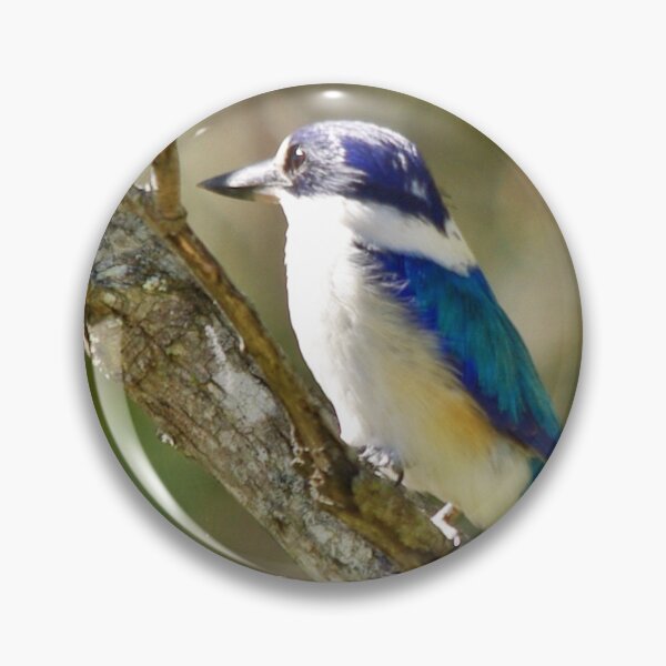 Item preview, Sacred Kingfisher designed and sold by TGrowden.
