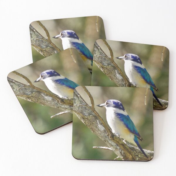 Item preview, Sacred Kingfisher designed and sold by TGrowden.