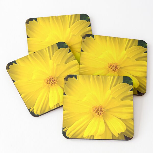 Item preview, Marigold Fower Closeup designed and sold by NocturnalEngg.