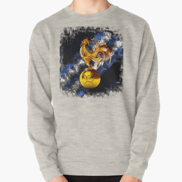 tottenham spurs sweatshirt