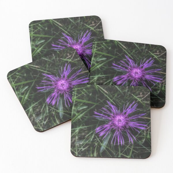 Item preview, Delicately Purple designed and sold by giftoftradition.