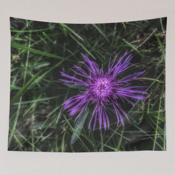 Item preview, Delicately Purple designed and sold by giftoftradition.