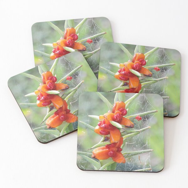 Item preview, Ginger flower designed and sold by Doug Cliff.