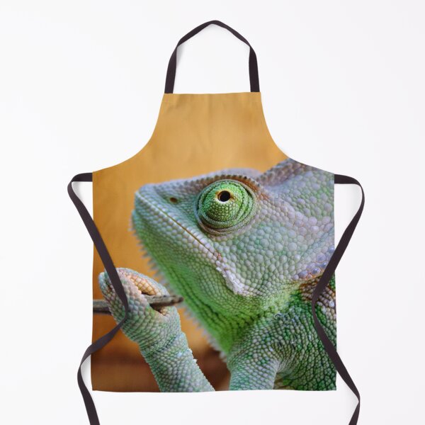 Item preview, Chamaeleo calyptratus designed and sold by Mythos57.