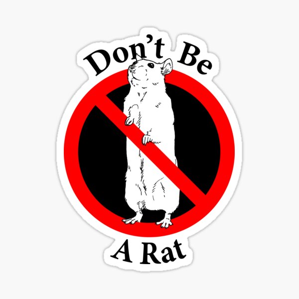 Don't Be a Rat - Keep your secrets - Respect your Team Sticker