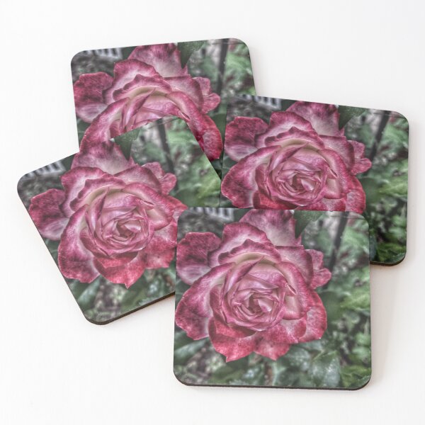 Item preview, Rosy Glow designed and sold by giftoftradition.