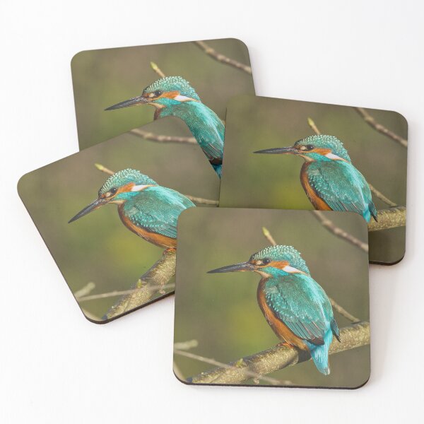 Item preview, Kingfisher  designed and sold by Willbadmanphoto.