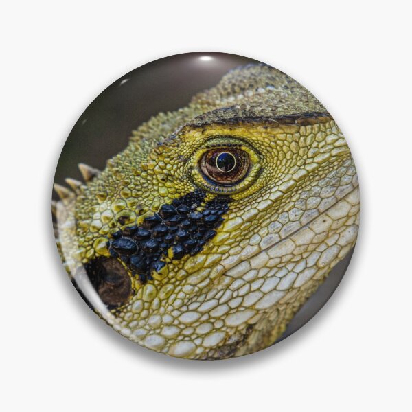 Item preview, Eastern Water Dragon designed and sold by Steven Weeks.