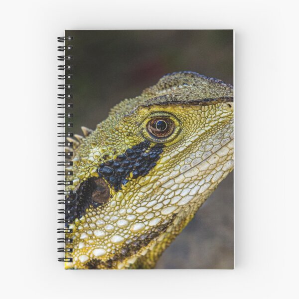 Item preview, Eastern Water Dragon designed and sold by Steven Weeks.