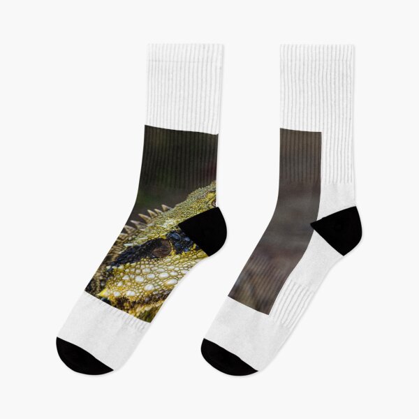 Item preview, Eastern Water Dragon designed and sold by Steven Weeks.