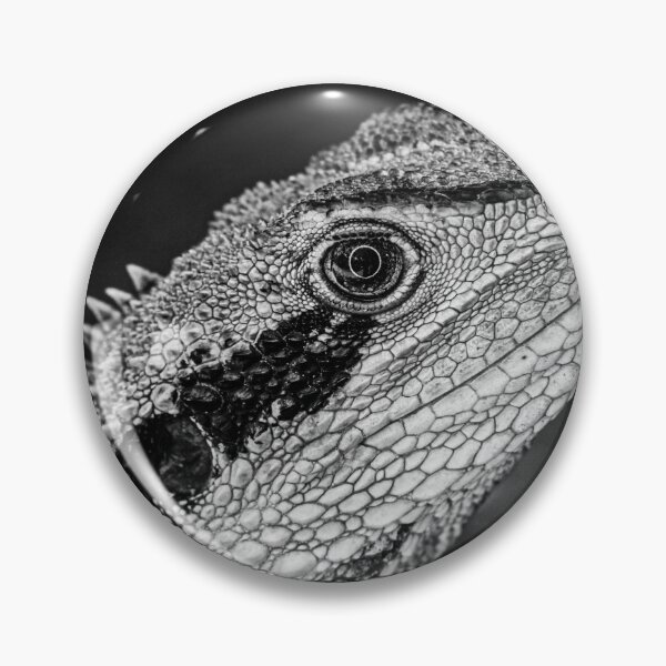 Item preview, Eastern Water Dragon designed and sold by Steven Weeks.