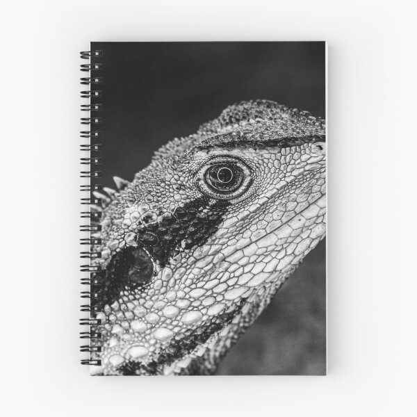 Item preview, Eastern Water Dragon designed and sold by Steven Weeks.