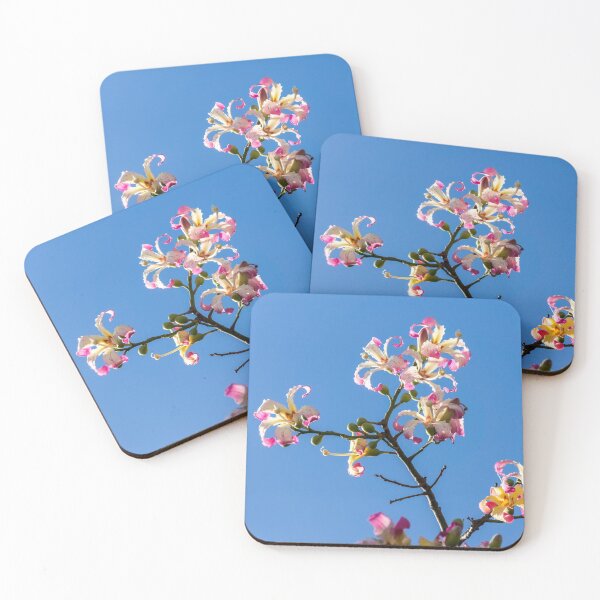 Item preview, Splendid Exotic Blooms - Flowering Silk Floss Tree Ceiba Speciosa  designed and sold by Georgia Mizuleva.