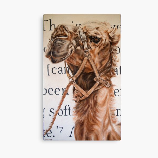 Nullabor (Qualities of a Camel) Canvas Print
