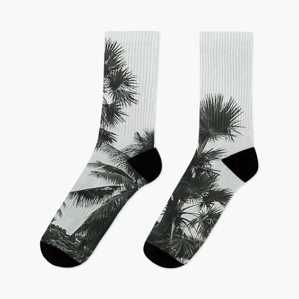 Item preview, Palm and Palmyra tree designed and sold by Kvkrishna.