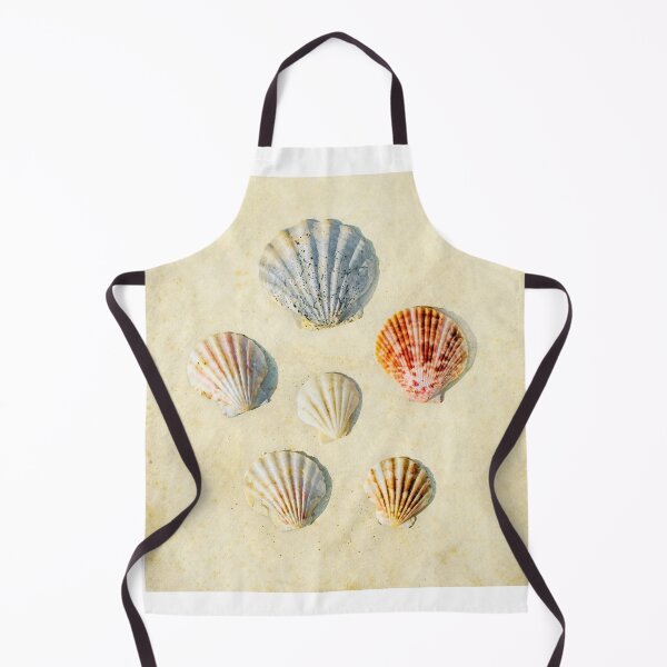 Item preview, Shell study designed and sold by paulgrand.