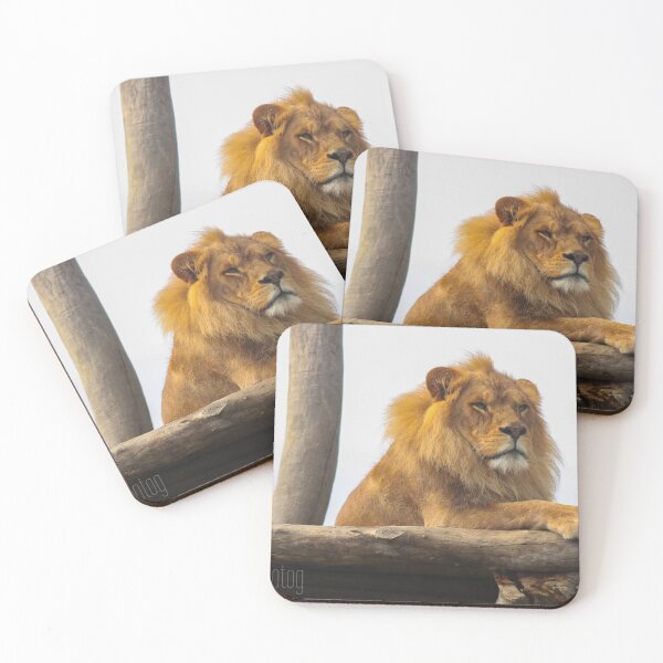 Item preview, African Lion designed and sold by heyiitshaleyy.